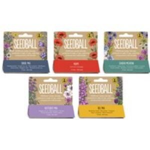 Colorful Wildflower Seedball Packs: 5 Mixes