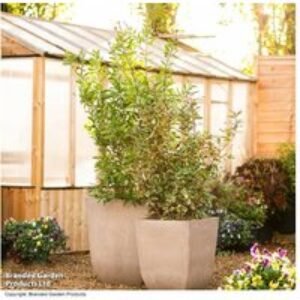 Tuscano Marble & Stone Effect Planters - Indoor & Outdoor Statement Pots | Wowcher