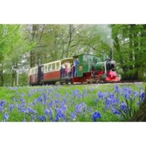 Unlimited Steam Train Rides at Bredgar & Wormshill Railway | Wowcher