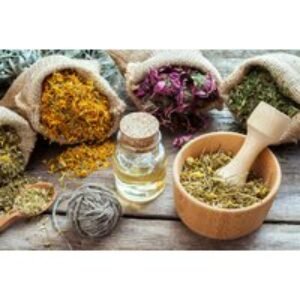 Master Herbalist Online Course | Wowcher