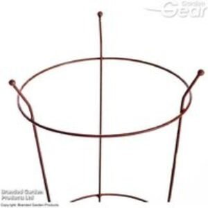 Large Pre-Rust Corten Steel Peony Plant Frame - Weatherproof Support | Wowcher