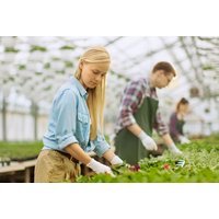 Online Horticulture & Organic Gardening CPD Certificate Course | Wowcher