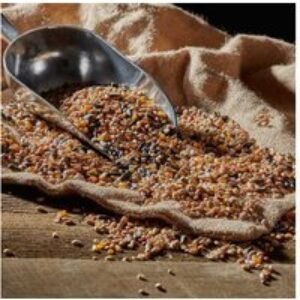 All-Season Songbird-Friendly Bird Food Mix - Nutrient-Rich