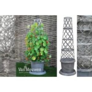Patio Tower Pot™ Modern Grey - Climbing Plant Support | Wowcher