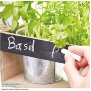 Grow Your Own Herbs - Windowsill Kit | Wowcher