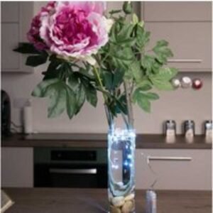 LED Fairy String Lights - 20 Warm White Waterproof