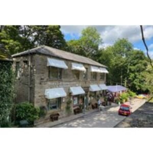 '24 Carat Gold' Afternoon Tea - Healey Dell Heritage Centre & Tea Rooms