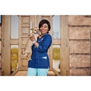 Online Veterinary Medicine Course with ICOES & CPD Certification - 28-Day Access | Wowcher