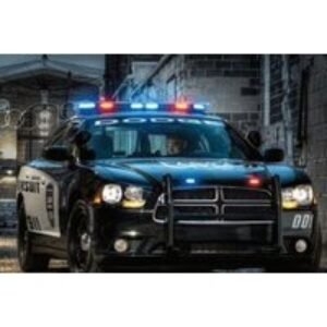 US Police Car Driving Experience - 3 Miles