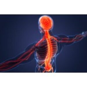 Comprehensive Sports Therapy Assessment & Treatment - Warwick | Wowcher