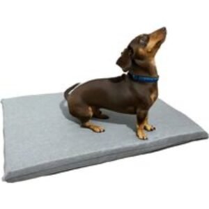 Luxury Grey Memory Foam Orthopaedic Dog Bed - 4 Sizes | Wowcher