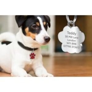 Personalised Engraved Glitter Paw Cat ID Tag - Durable Metal