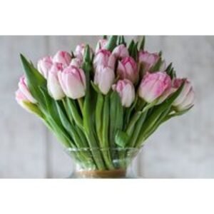 50% Discount Voucher for Tulip Bouquets | Wowcher