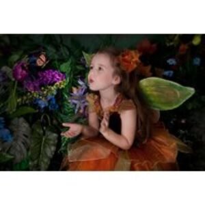 Fairy & Elf Photoshoot and Print - Xposure Studios | Wowcher