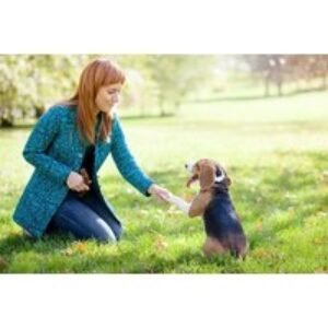 CPD-Certified Start Your Own Pet Business Online Course - Holly & Hugo | Wowcher