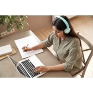 Online Needle Felting Course with ICOES Certificate | Wowcher