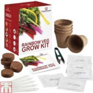 Vibrant Rainbow Vegetable Seed Kit | Wowcher