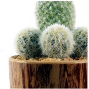 Stylish 20cm Ceramic Planter with Low Maintenance Artificial Cactus | Wowcher