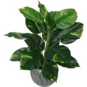 60cm Artificial Devil's Ivy - Indoor Low Maintenance Plant | Wowcher