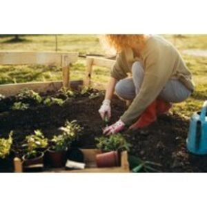 Gardening 101 for Beginners Online Course - CPD UK Accredited | Wowcher