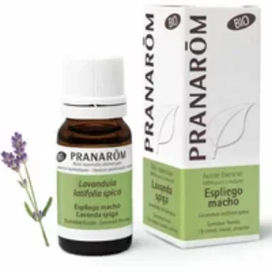 Pranarom Lavandula Latifolia Spica Bio 10ml