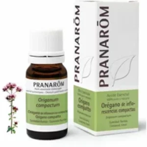 Pranarom Oregano Compact Flowering Top Essential Oil 10ml