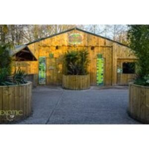 Private Armadillo Encounter for 4 with Zoo Entry at Exotic Zoo Wildlife Park