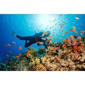 PADI Discover Scuba Diving Experience | Wowcher
