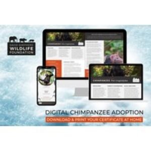 Digital Chimpanzee Adoption Pack - Personalised Certificate