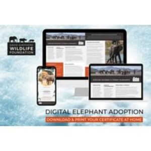 Digital Elephant Adoption Pack - Personalised Certificate