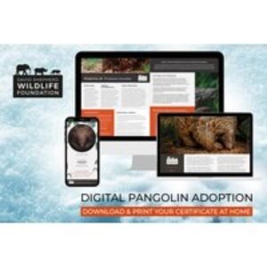 Digital Pangolin Adoption Pack with Personalised Certificate