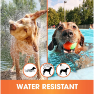 Cats & Dogs Anti Flea and Tick Collars | Wowcher