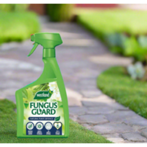 Westland Fungus Guard RTU 800ml - Ready-to-Use Plant Disease Protection Spray | Wowcher