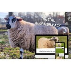Adopt a Sheep for 1 - Digital Adoption Pack - Goodheart Animal Sanctuaries | Wowcher