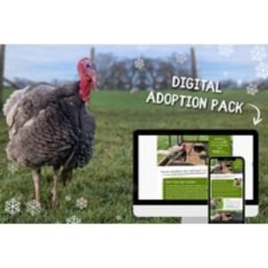 Adopt a Turkey - Digital Adoption Pack with an e-Certificate & More - Goodheart Animal Sanctuaries | Wowcher
