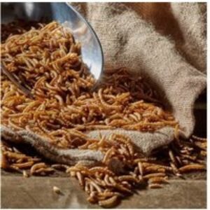 High-Protein Dried Mealworms for Wild Bird Feeders - Wildlife-Friendly Garden Snack | Wowcher