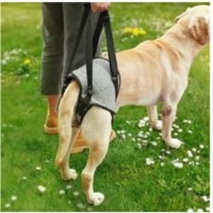 Adjustable Dog Mobility Support Harness - Soft