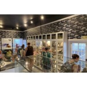 Yorkshire Natural History Museum Entry Tickets - Group Pass for Up to Six People | Wowcher