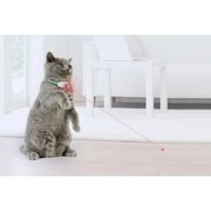 Smart Laser Cat Collar - Interactive Rechargeable Toy