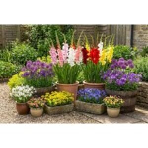 Up To 300 Summer Bulb Mix: Layered Blooms for Stunning Gardens | Wowcher