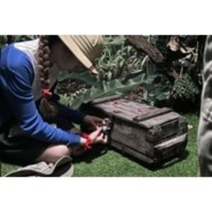 Spooky Escape Room Experience for up to 6 - Group & Family Bookings - Northampton | Wowcher