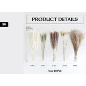 Natural Dried Pampas Grass Bouquet - Bohemian Decorative Stems