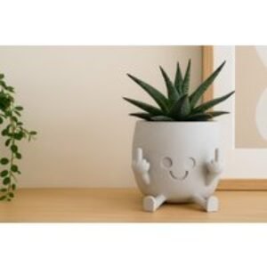 Cheeky Resin Plant Pot - Fun Novelty Smiling Planter for Indoor & Outdoor Plants (10cm) | Wowcher
