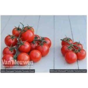 Soluble Tomato & Vegetable Plant Food - 750g Box