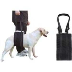 Adjustable Orthopaedic Dog Sling Support - Portable