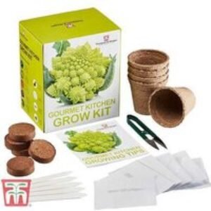 Gourmet Kitchen Seed Grow Kit - 5 Veg Varieties | Wowcher