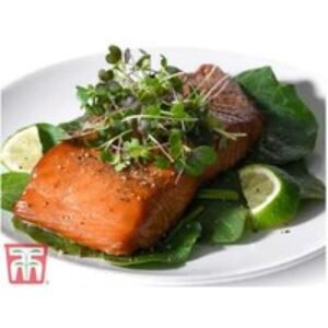 Microgreens Classic Seed Grow Kit - 5 Varieties