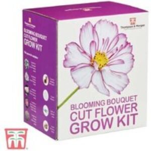 Seed Grow Kit for Vibrant Cut Flowers | Wowcher