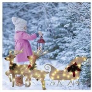 LED Christmas Sleigh & Reindeer Light Set - Pre-Lit