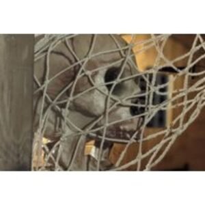 Dead Man's Cove 1-Hour Escape Room for up to 6 People - Trapp'd